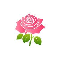 Pink rose flowers, floral decorated with gorgeous multicolored blooming flowers and leaves border. Spring botanical flat illustration on white background vector