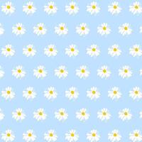 Spring background meadow daisies blue seamless Summer pattern Blooming wildflower ditsy wrapping fabric wallpaper textile mosaic vector