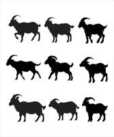Goats isolated on white, hand drawn illustration. vector