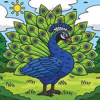 Peacock Bird Colored Cartoon Illustration vector