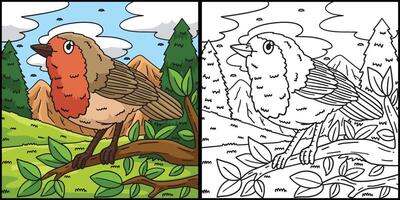 European Robin Bird Coloring Page Illustration vector