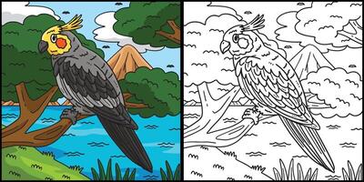 cacatúa pájaro colorante página de colores ilustración vector