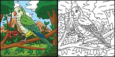 monje perico pájaro colorante página ilustración vector