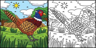 Common Pheasant Bird Coloring Page Illustration vector