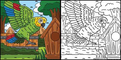 Amazon Parrot Bird Coloring Page Illustration vector