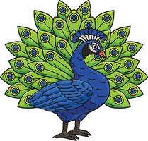 Peacock Bird Cartoon Colored Clipart Illustration vector