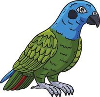 Pionus Parrot Bird Cartoon Colored Clipart I vector