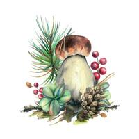 Forest porcini mushroom with larch, lingonberry, moss and cone. watercolor illustration, hand drawn. Isolated composition on a white background. vector