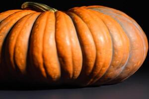 The Enchanting Beauty of Pumpkins A Celebration of Vibrant Colors and Autumnal Charm Capturing the Essence of Harvest Season in Every Curve and Contour photo