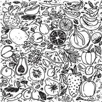 Monochrome Doodle Sketch of Various Fruits and Vegetables vector