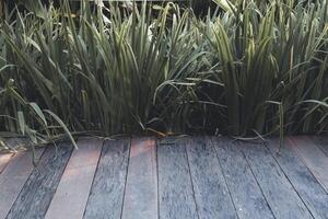 beautifully arranged background of leaves is natural pattern of leaves that occurs by itself and background images of leaves are also commonly used for adding text onto empty space of the background photo