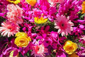 backdrop of beautifully arranged flower and bright colors is backdrop for flower in beautifully arranged garden at flower festival. Beautiful colorful background with Copy Space for inserting text. photo