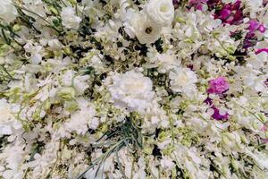 backdrop of beautifully arranged flower and bright colors is backdrop for flower in beautifully arranged garden at flower festival. Beautiful colorful background with Copy Space for inserting text. photo