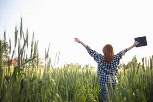 detrás espalda de hembra investigador ella estaba caminando solo a inspeccionar cebada en arroz campo a ver rendimientos adquirido desde investigando cebada variedades a desarrollar cebada son a Produce bueno rendimientos foto