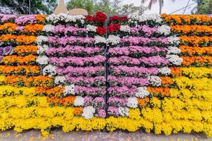backdrop of beautifully arranged flower and bright colors is backdrop for flower in beautifully arranged garden at flower festival. Beautiful colorful background with Copy Space for inserting text. photo