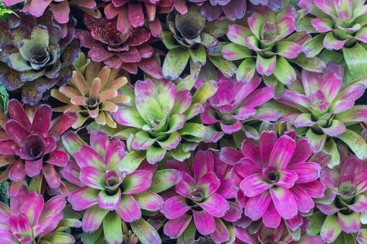 beautifully arranged background of leaves is natural pattern of leaves that occurs by itself and background images of leaves are also commonly used for adding text onto empty space of the background photo