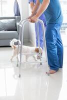 Doctors are examining patient muscle injuries and doing physical therapy for patient to move muscles so they can be used regularly because physical therapy will help strengthen muscles and blood flow. photo