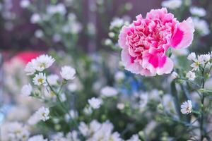 background of beautifully arranged flower and bright colors is backdrop for flower in beautifully arranged garden at flower festival. Beautiful colorful background with Copy Space for inserting text. photo