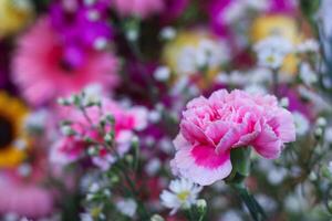 background of beautifully arranged flower and bright colors is backdrop for flower in beautifully arranged garden at flower festival. Beautiful colorful background with Copy Space for inserting text. photo