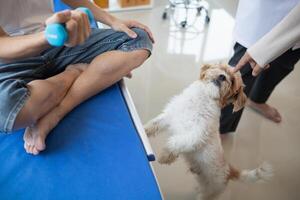 doctor is checking for muscle injuries and using dumbbells test injury and also help with physical therapy strengthen muscles because physical therapy will help strengthen muscles and help blood flow photo
