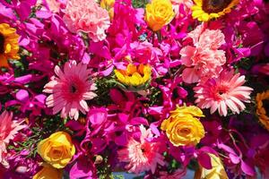 backdrop of beautifully arranged flower and bright colors is backdrop for flower in beautifully arranged garden at flower festival. Beautiful colorful background with Copy Space for inserting text. photo