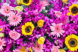 backdrop of beautifully arranged flower and bright colors is backdrop for flower in beautifully arranged garden at flower festival. Beautiful colorful background with Copy Space for inserting text. photo