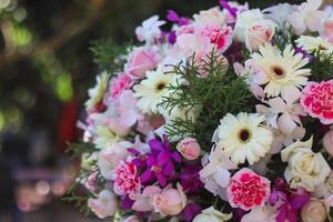 background of beautifully arranged flower and bright colors is backdrop for flower in beautifully arranged garden at flower festival. Beautiful colorful background with Copy Space for inserting text. photo