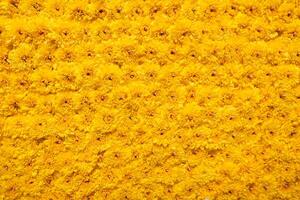 backdrop of beautifully arranged flower and bright colors is backdrop for flower in beautifully arranged garden at flower festival. Beautiful colorful background with Copy Space for inserting text. photo