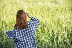 detrás espalda de hembra investigador ella estaba caminando solo a inspeccionar cebada en arroz campo a ver rendimientos adquirido desde investigando cebada variedades a desarrollar cebada son a Produce bueno rendimientos foto