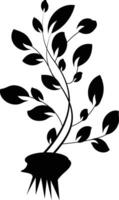 Design of Black Floral Branch vector