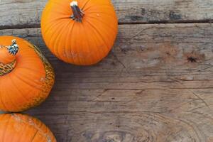 The Enchanting Beauty of Pumpkins A Celebration of Vibrant Colors and Autumnal Charm Capturing the Essence of Harvest Season in Every Curve and Contour photo