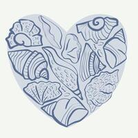 seashells in rhe heart vector