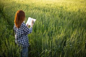 detrás espalda de hembra investigador ella estaba caminando solo a inspeccionar cebada en arroz campo a ver rendimientos adquirido desde investigando cebada variedades a desarrollar cebada son a Produce bueno rendimientos foto