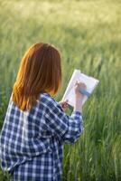 detrás espalda de hembra investigador ella estaba caminando solo a inspeccionar cebada en arroz campo a ver rendimientos adquirido desde investigando cebada variedades a desarrollar cebada son a Produce bueno rendimientos foto