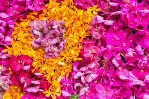 backdrop of beautifully arranged flower and bright colors is backdrop for flower in beautifully arranged garden at flower festival. Beautiful colorful background with Copy Space for inserting text. photo