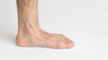 Inner view of adult man's ankle, against a white background with space for text, left foot, full foot photo