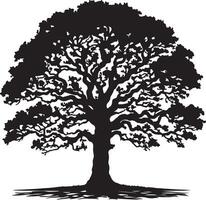 Beautiful tree silhouette white background vector