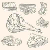 Meat outline icon set illustration. Hand drawn pork steaks with or without bone, jamon, prosciutto and ribs in white lines meat collection. vector