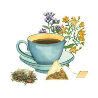 Watercolor illustration. A cup of blue tea, a pyramid-shaped tea bag, tea leaves, meadow herbs, herbal tea. All items are hand painted with watercolors. For printing on product packaging, menus vector