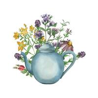 Blue kitchen teapot, meadow herbs, herbal tea, rose hips. All items are hand painted with watercolors. Watercolor illustration. For printing on packaging, paper, kitchen design, textiles vector