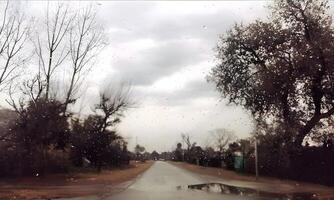 a wet road with trees and a cloudy sky photo