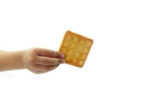 A child's hand holds a biscuit cracker. on a white background photo