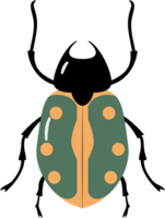 A bug with colorful color and beautiful pattern on its back wing. flat cartoon style. png