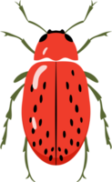 A bug with colorful color and beautiful pattern on its back wing. flat cartoon style. png