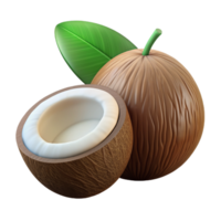 Coconut Fruit 3d Illustration png