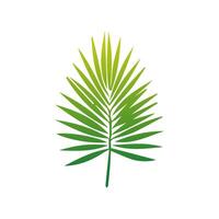 Green leaf icon. Elements design for natural, eco, vegan, bio labels vector