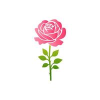 Pink rose flowers, floral decorated with gorgeous multicolored blooming flowers and leaves border. Spring botanical flat illustration on white background vector