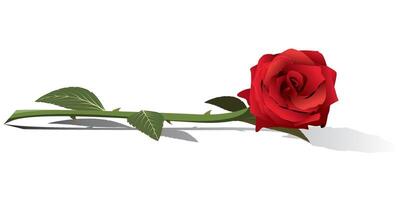 ramo de flores de rojo Rosa flor aislado en blanco antecedentes minimalista gráfico ilustración. vector