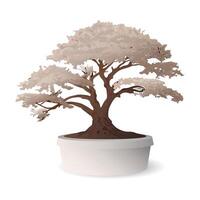 Bonsai tree in flowerpot isolated graphic illustrated. vector