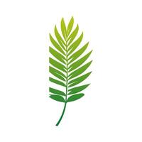 Green leaf icon. Elements design for natural, eco, vegan, bio labels vector